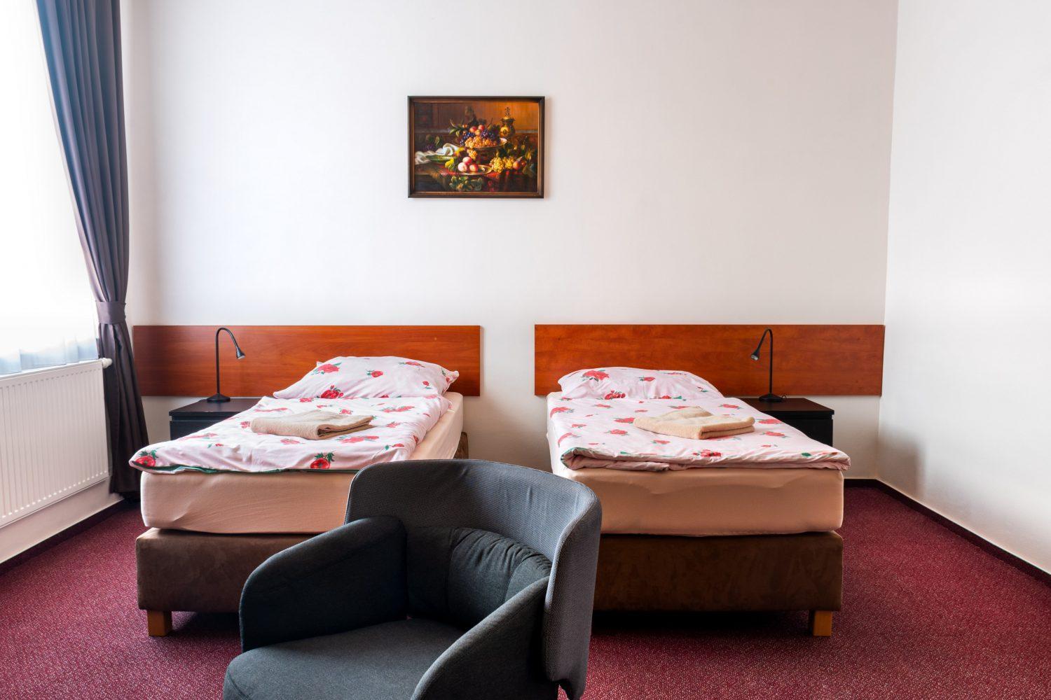 Hotel Alfa Třebíč Extérieur photo